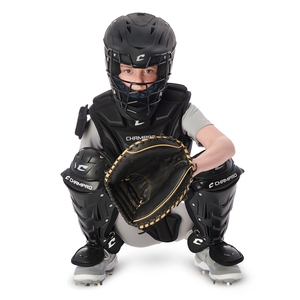 Includes Leg Guards, Chest Protector and Helmet